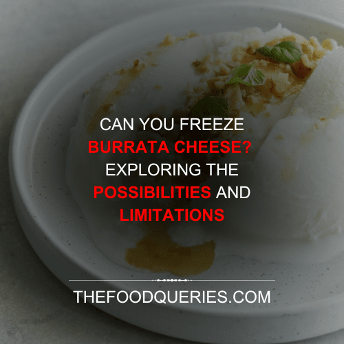 thefoodqueries.com - Can you freeze burrata cheese